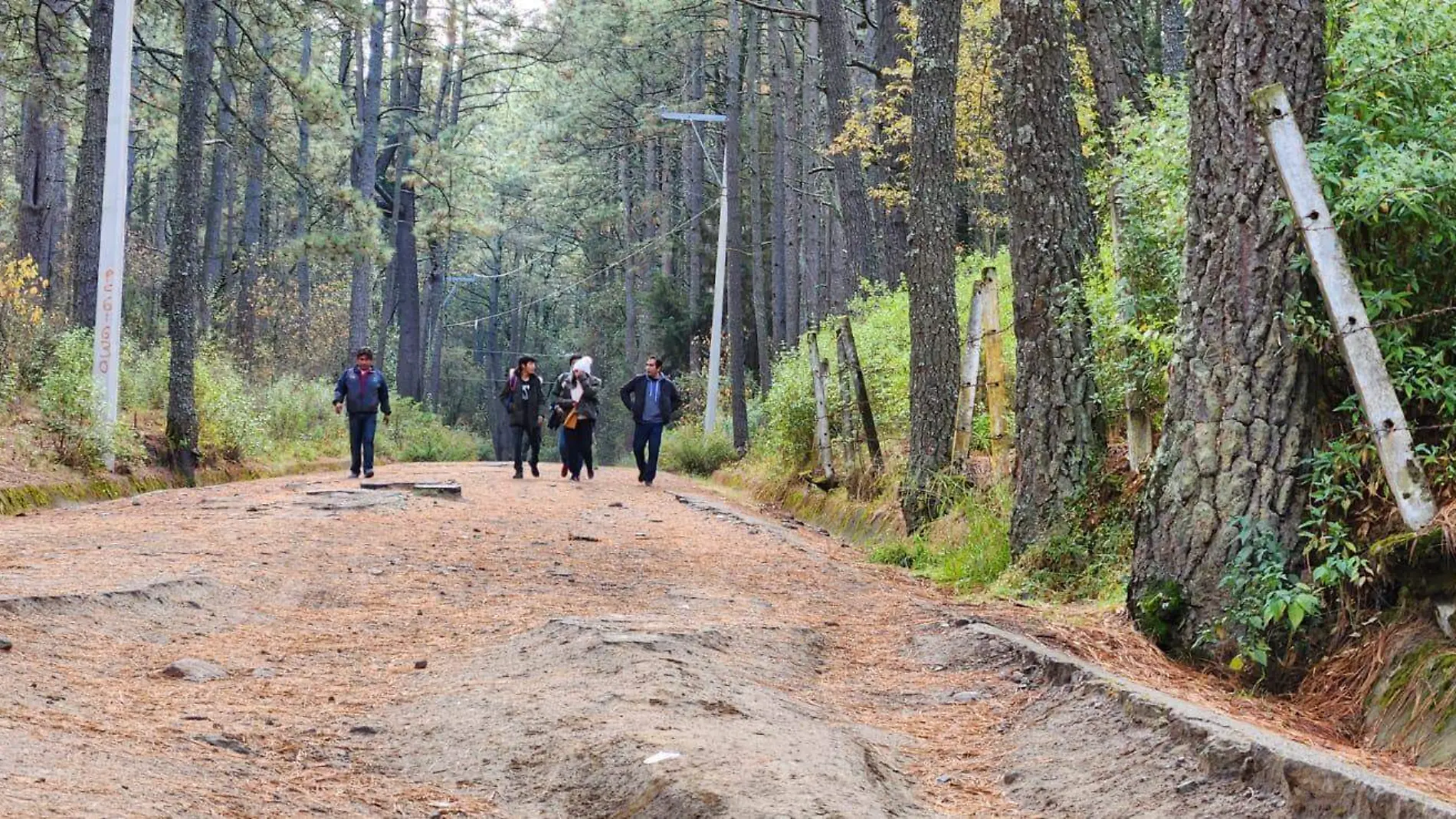 Cobros por acceso a la Malinche serán destinados a conservación y restauración